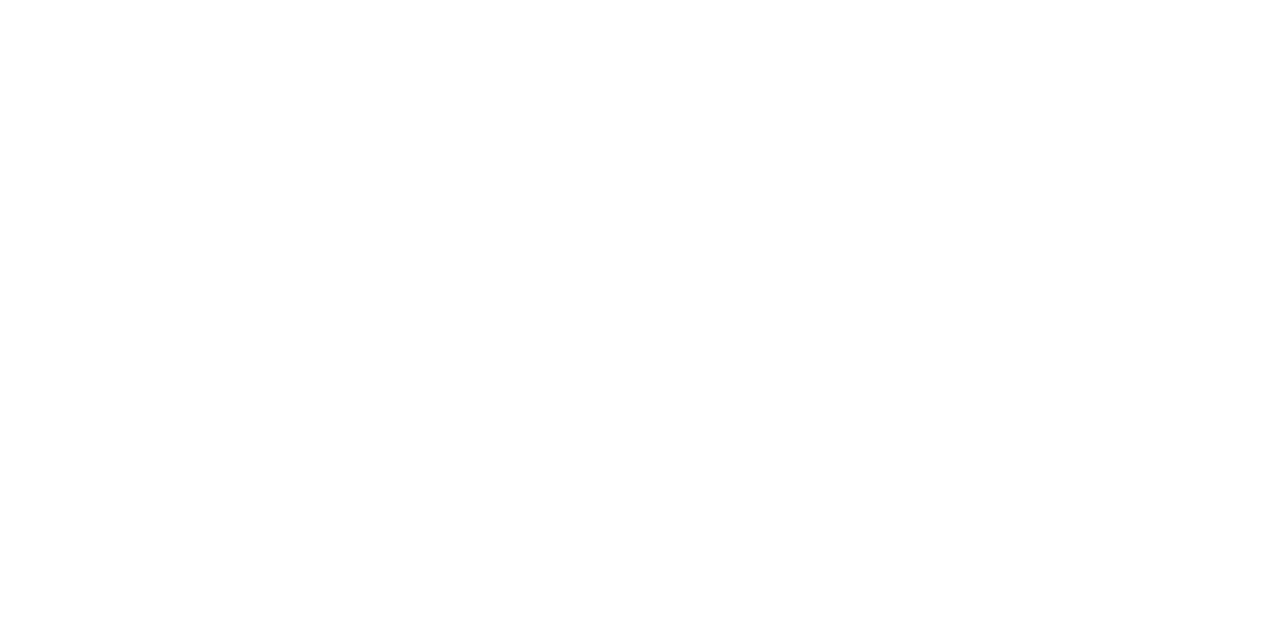 MAS Webinar